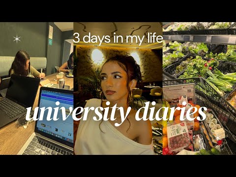   يوميات الجامعة