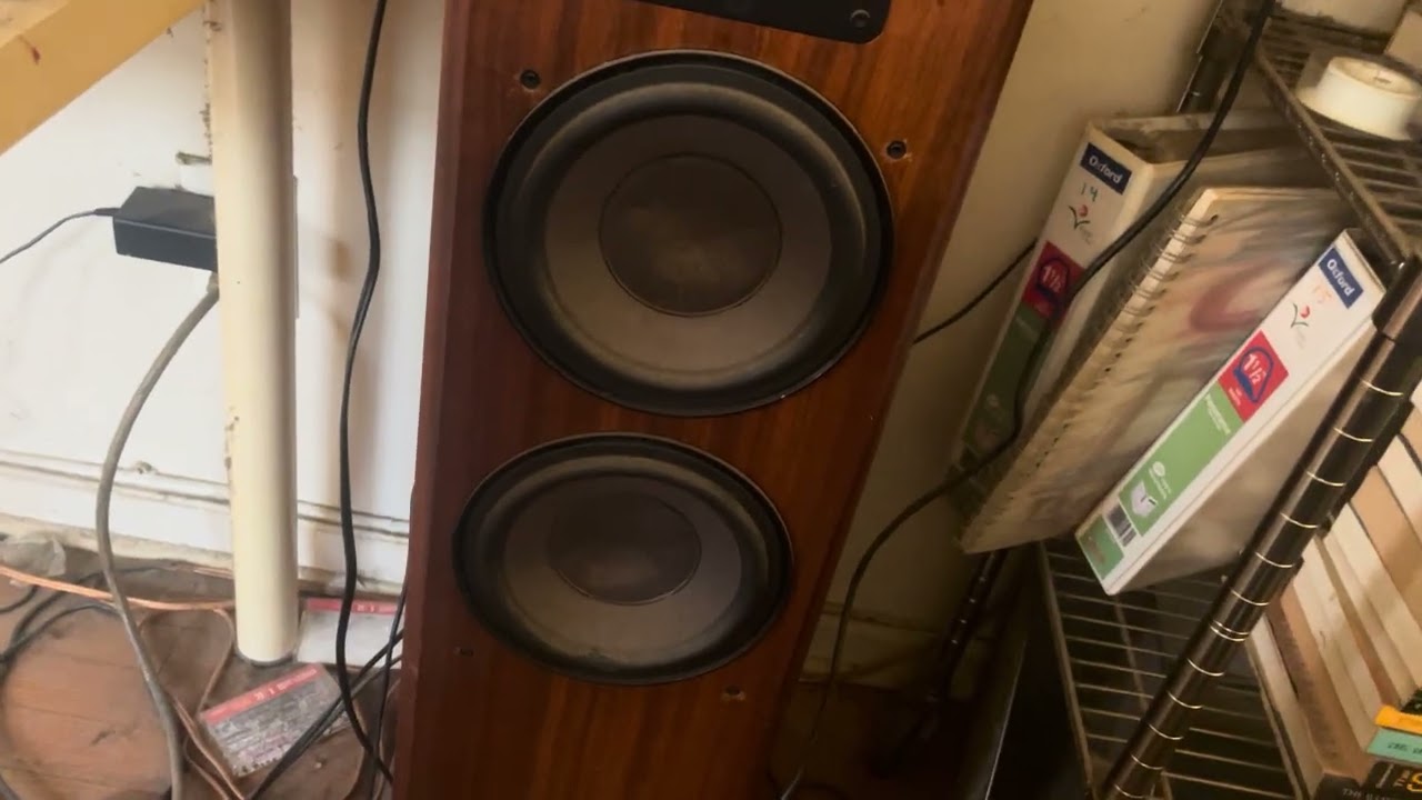 we’re in our dream