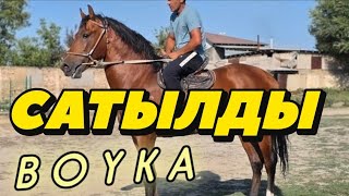 BOYKA