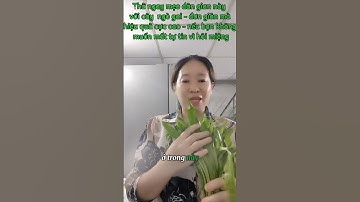 đánh bay hôi miệng chỉ với bài thuốc dân gian đơn giản này #phuongnguyen #baithuocdangian  #thaoduoc