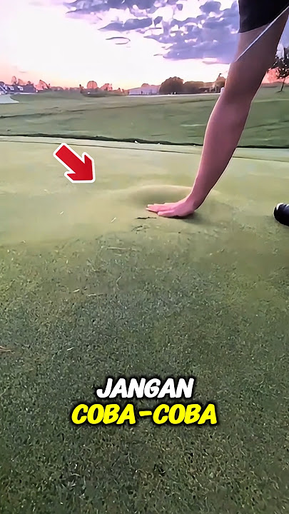 kenapa rumput ini menonjol seperti gelembung??🤔