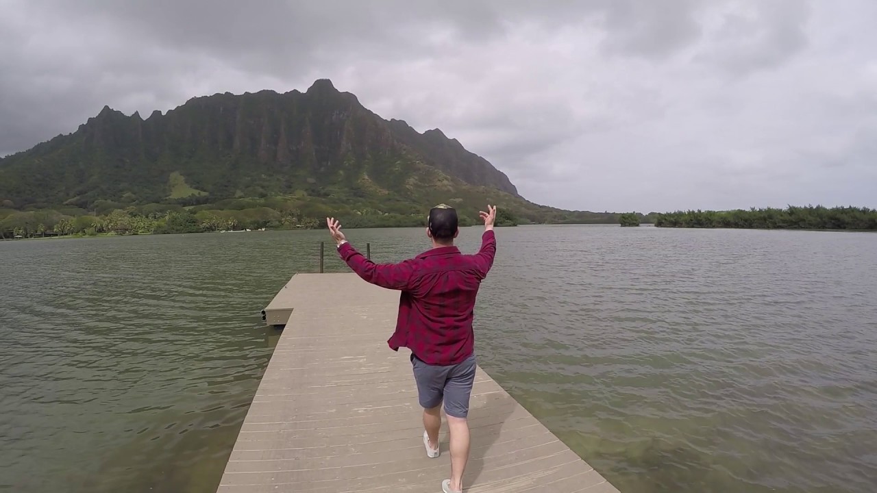 My Year 2016 | (Sam Kolder Inspired)