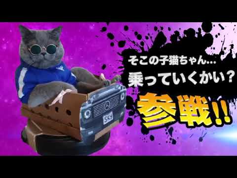ヤバ過ぎネッコ全員参戦！！part83