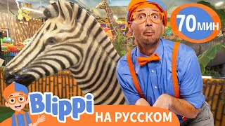 Блиппи В Джунглях: Уроки Про Животных🌴🦁 | Блиппи На Русском