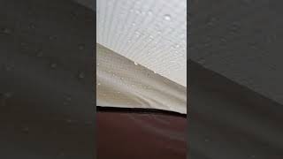 Nemo x First Lite Spike Tent Leaking Inside View 2