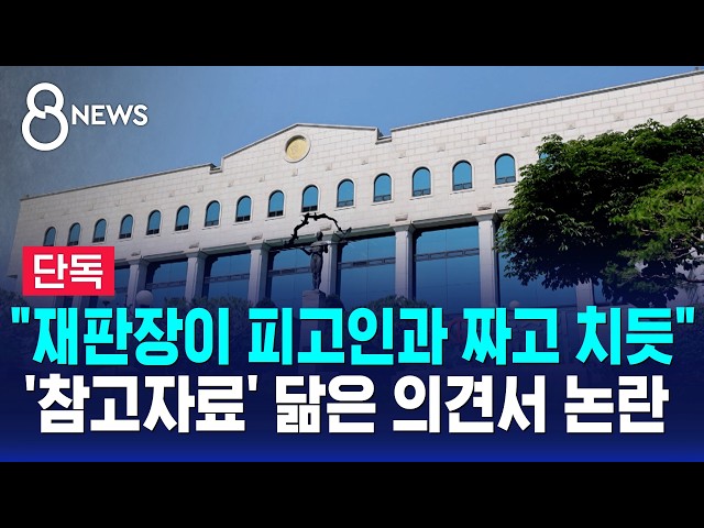 [단독] 4개 시도 "기각"..'참고자료' 빼닮은 의견서 논란 / SBS 8뉴스