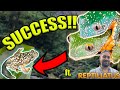 BREEDING THE RAREST FROGS IN THE COUNTRY!! ft. @Reptiliatus