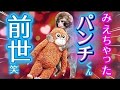 LIVE パンチくん前世とフィーバーの理由