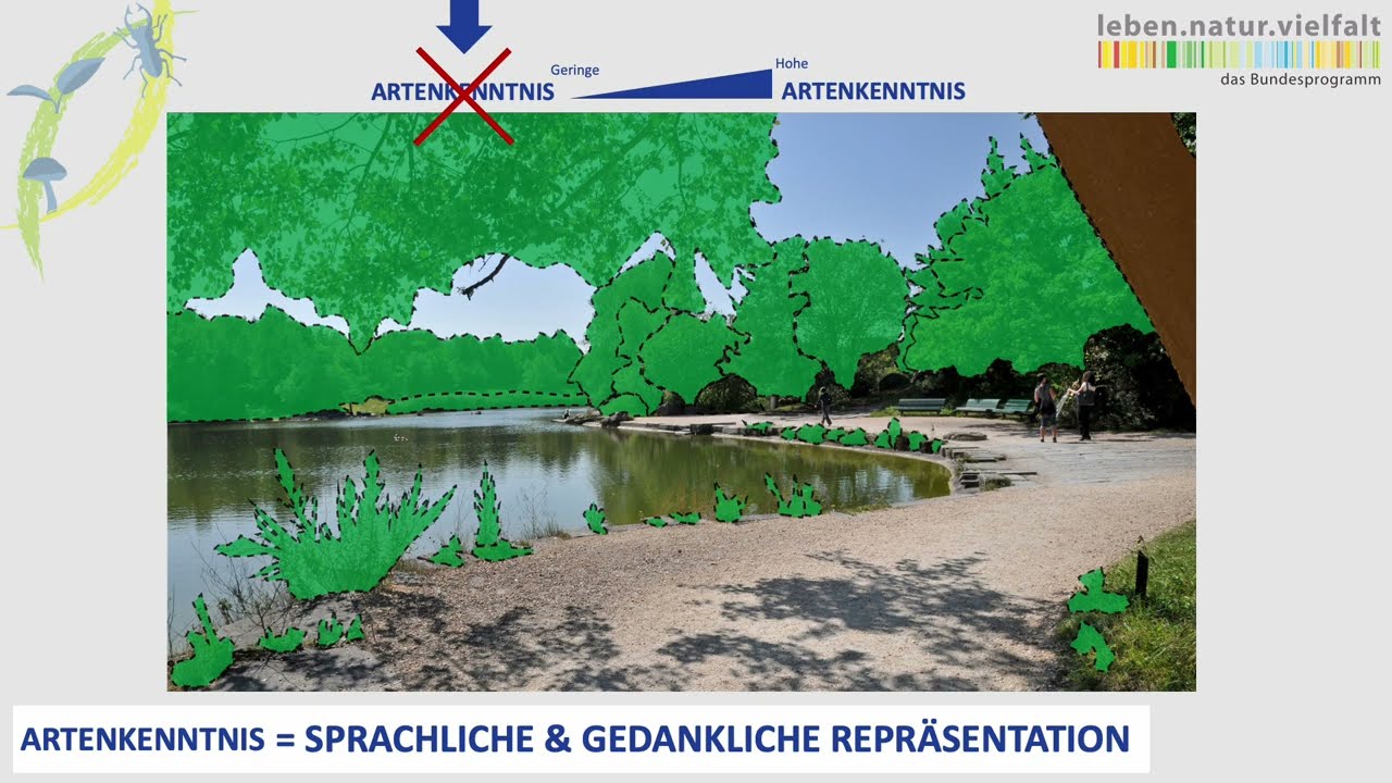 Die Bedeutung von Artenkenntnis