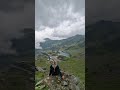 #transfagarasan #beer #butiful #nature #travel #top