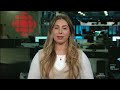 How immigration cuts could affect Nova Scotia industries