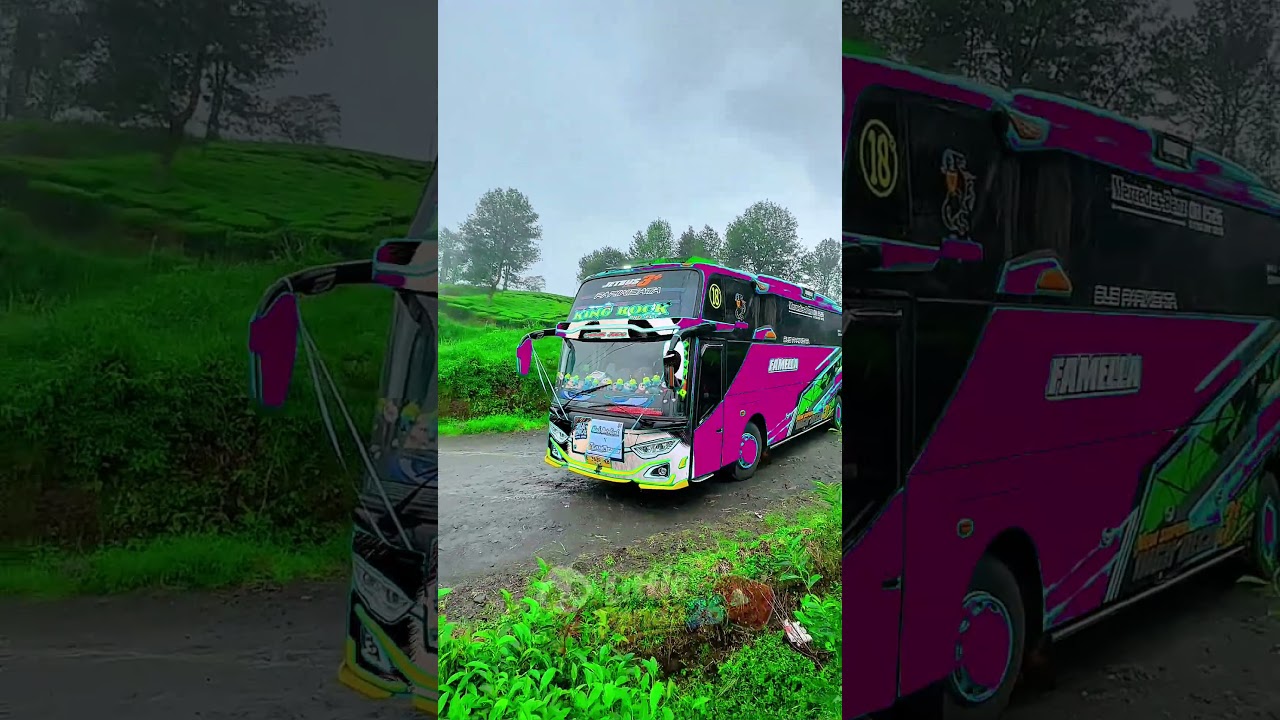 Viral - Trend Mode Bus Transparan Part 147 #shorts