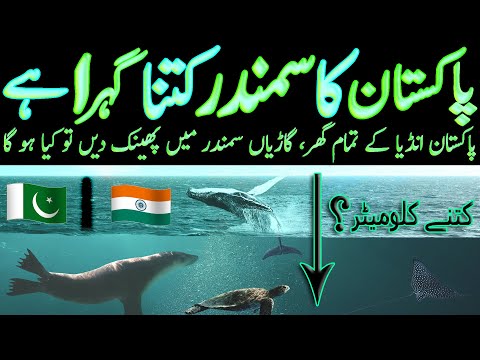 Video: Pakistan Sea