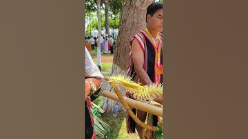 Hòa tấu nhạc cụ tre nứa #gialaiteam