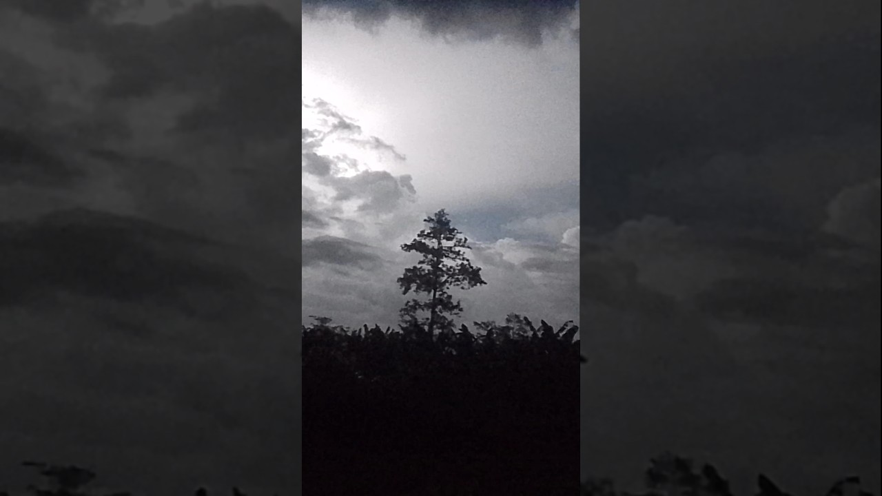 Lagu memengaruhi vibes 🗿 