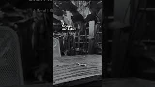 Download Lagu Sheila On 7 || Berai #sheilaon7 #storywakekinian MP3 Download Lagu Sheila On 7 || Berai #sheilaon7 #storywakekinian MP3
