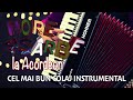 Cel Mai Bun Colaj Instrumental, Hore si Sarbe la Acordeon