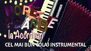 Cel Mai Bun Colaj Instrumental, Hore si Sarbe la Acordeon