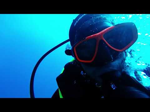 Buceo en la