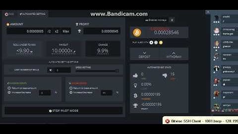 bitsler low balance trick for beginners, new
