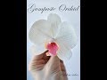 Gumpaste Orchid Tutorial. Орхидея из мастики. Sugar Flowers. Fondant.