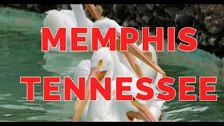 Discover The Charm Of Memphis, Tennessee | Exploring Memphis Hidden Gems