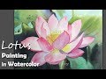 How to Paint A Lotus Flower in Watercolor
