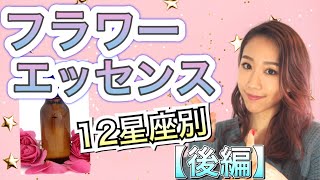 【フラワーエッセンス】12星座別におすすめエッセンスを紹介します (後編)