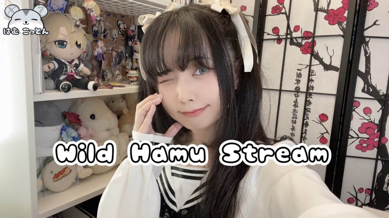 Wild Hamu Stream