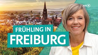 Freiburg - How to make a city trip to Baden-Württemberg worthwhile | ARD Reisen