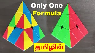 Solve the Pyraminx in Tamil | Beginners Method | imw