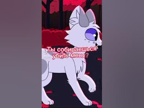 коты воители мошка - YouTube