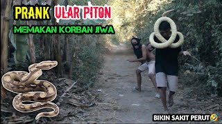 Video Lucu || Funniest Snake Prank || Ular Piton Bikin Emosi || Asli Bikin Ngakak 🤣🤣