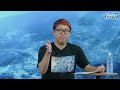 End of video