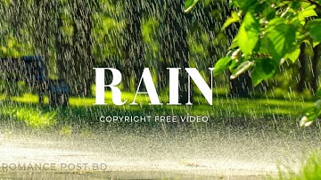 Rain Background Video | Rain Stock Footage | Copyright Free Rain Video | Romance Post BD