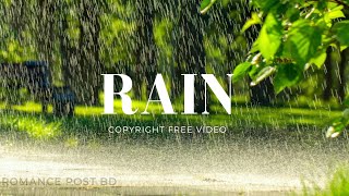 Rain Background Video | Rain Stock Footage | Copyright Free Rain Video | Romance Post BD