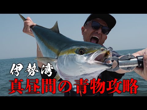 伊勢湾】釣れない時間と言われた真昼間に青物ゲーム！ - YouTube