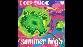 Deep Tribe - Summer High (Original Mix) [2015] Resimi