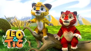 Leo and Tig  Take You on a Wild Adventure!   Epsodes collection  Moolt Kids Toons Happy Bear