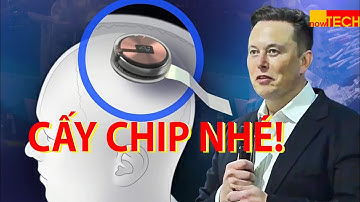 Elon Musk sẽ cấy chip vào não để biến người thành Robot trong năm nay?