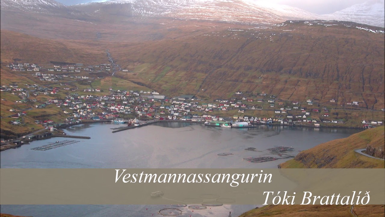 Vestmannasangurin
