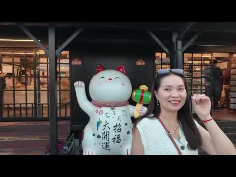 嘉義一日輕鬆遊。