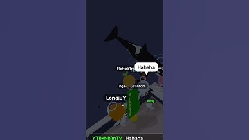 PLAY TOGETHER | cách câu cá voi sát thủ !