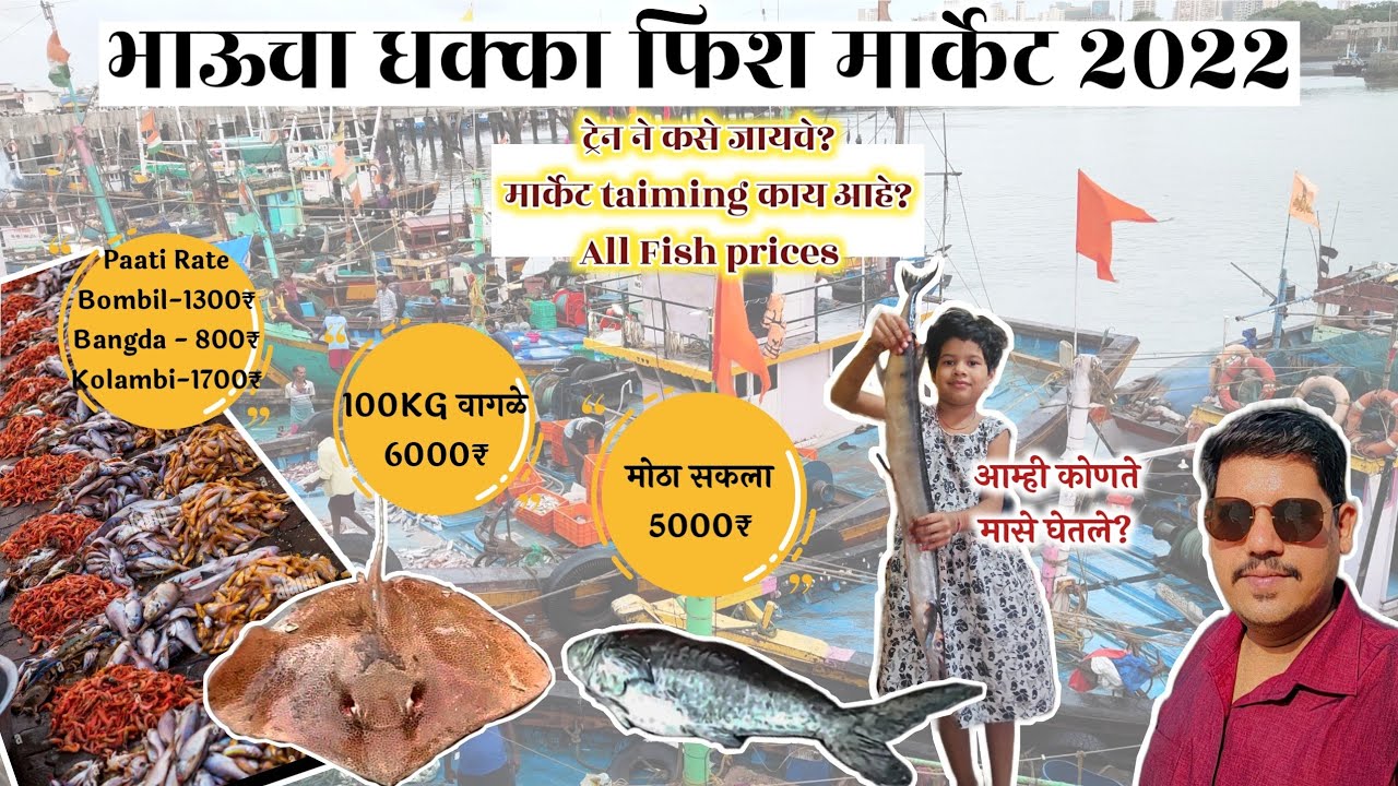 BHAUCHA DHAKKA fish market 2022 Bhaucha dhakka live lilav fish Price