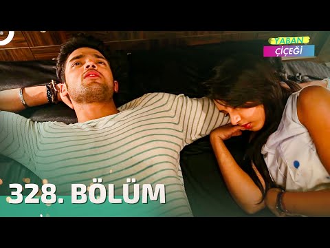 Yaban Çiçeği Hint Dizisi 328. Bölüm