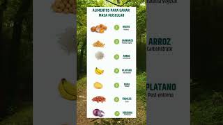 Los Mejores Alimentos Para Ganar Masa Muscular