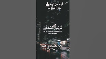 سورة الجاثية للقارئ ياسر الدوسري #ويل لكل أفاك أثيم يسمع آيات الله #قراءة_القرآن_الكريم #قراءة جميلة