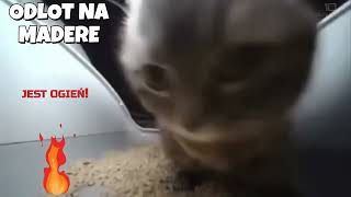 Odlot Na Madere Mp4 Official Music Video