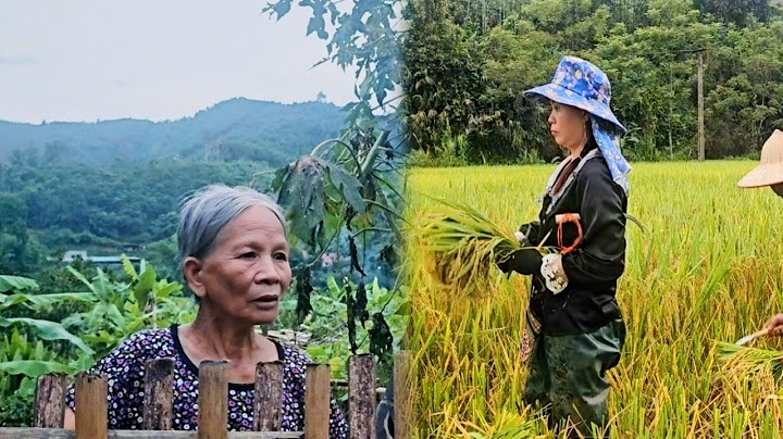 Tuyet's ex-mother-in-law came to ask for rice but did not see Tuyet