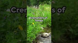 Happy Peaceful Sunday for Cremations of Tampa 2025 06 29 #cremationservices Happy Peaceful Sunday for Cremations of Tampa 2025 06 29 #cremationservices